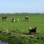 Gouweland * Hoogwoud