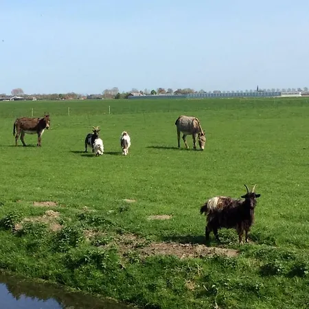 Gouweland * Hoogwoud